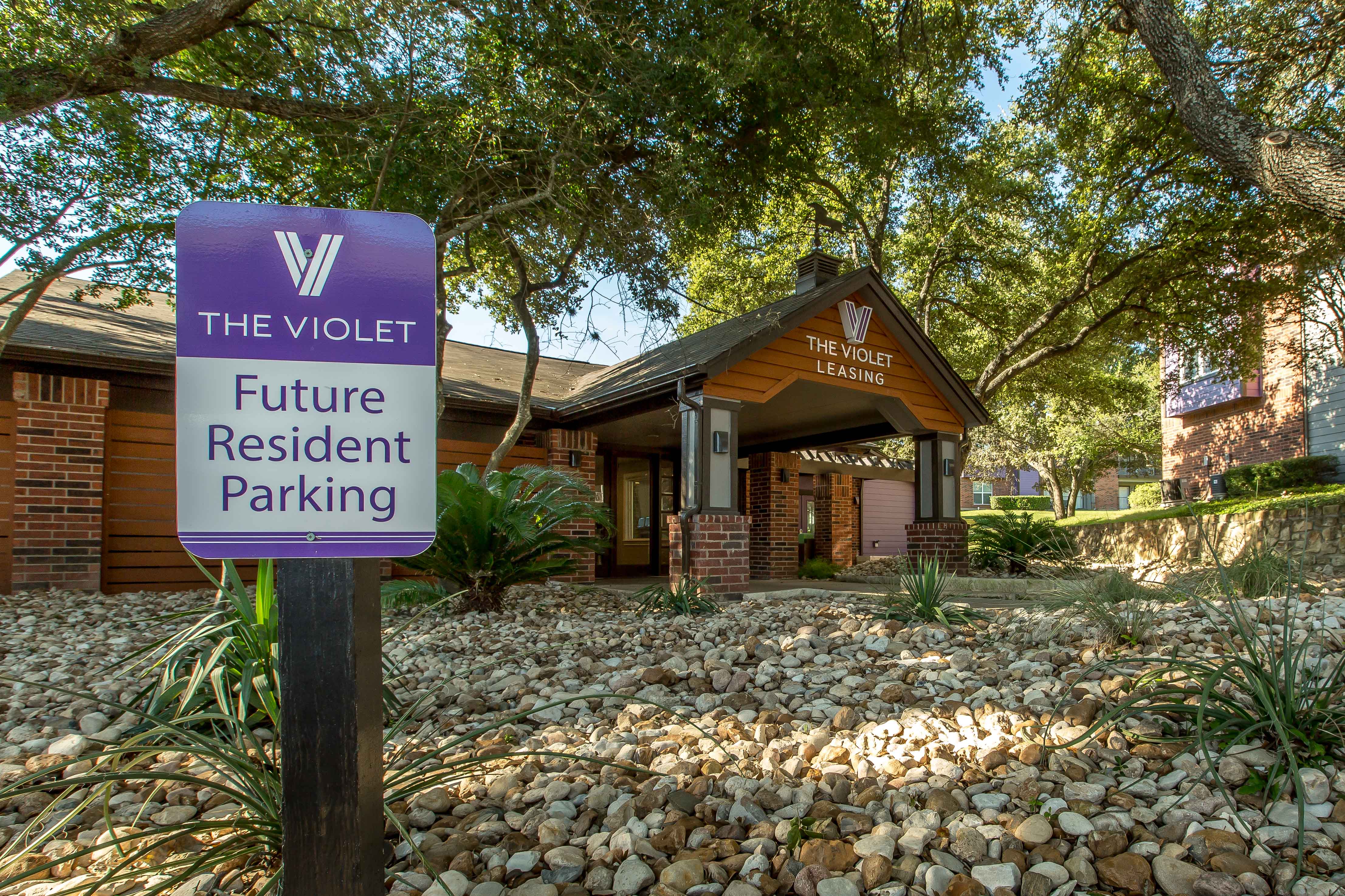 Photos and Video of The Violet in Austin, TX
